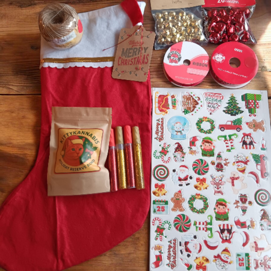 Meowy Christmas DIY Stocking Kit (Comes with free mystery gift)