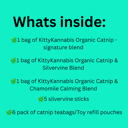 List of contents for KittyKannabis Organic Catnip Bundle products on a teal background