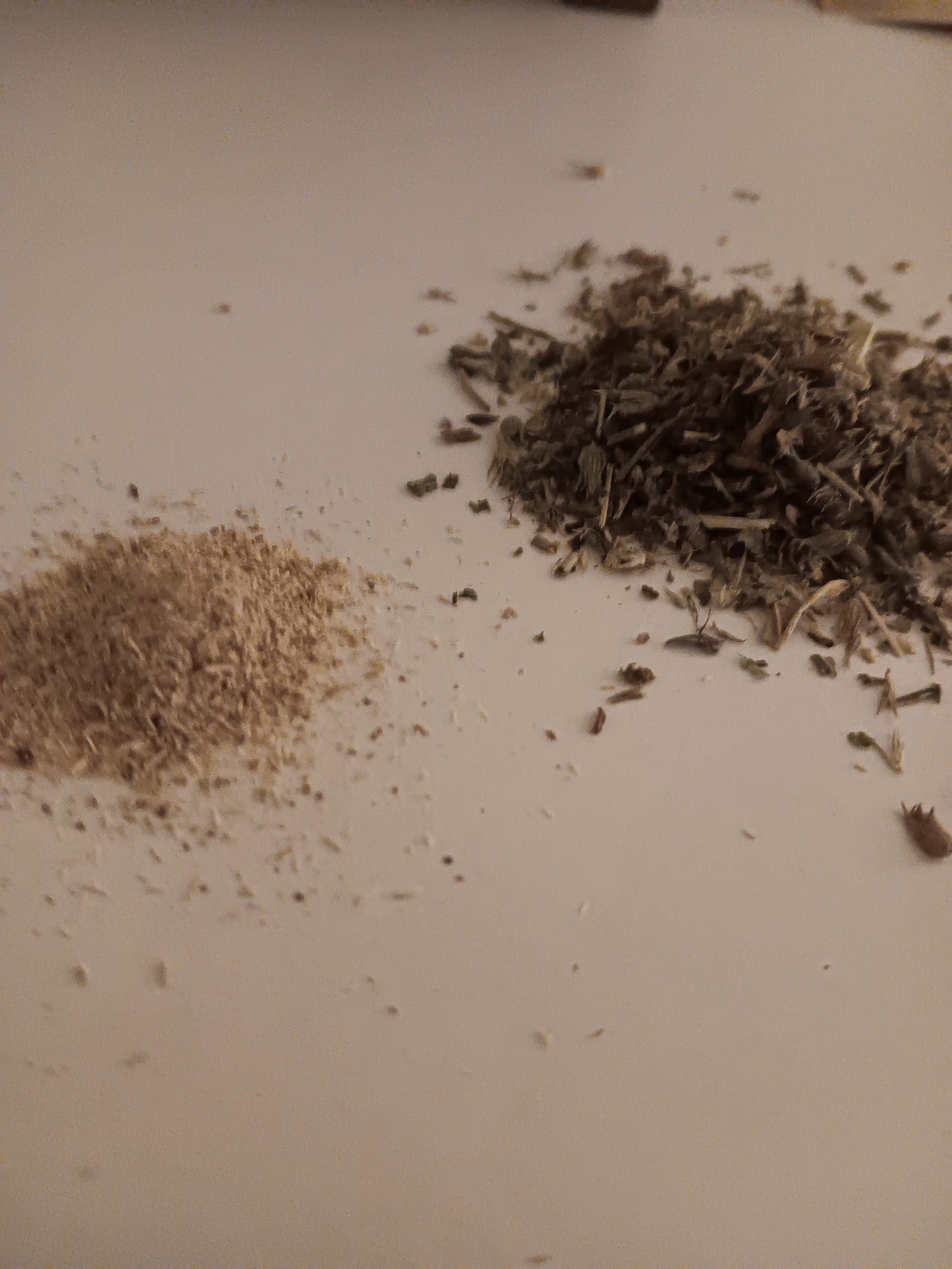 Zoomies Zaza | Organic Silvervine-Catnip Blend (Comes with free silvervine stick)