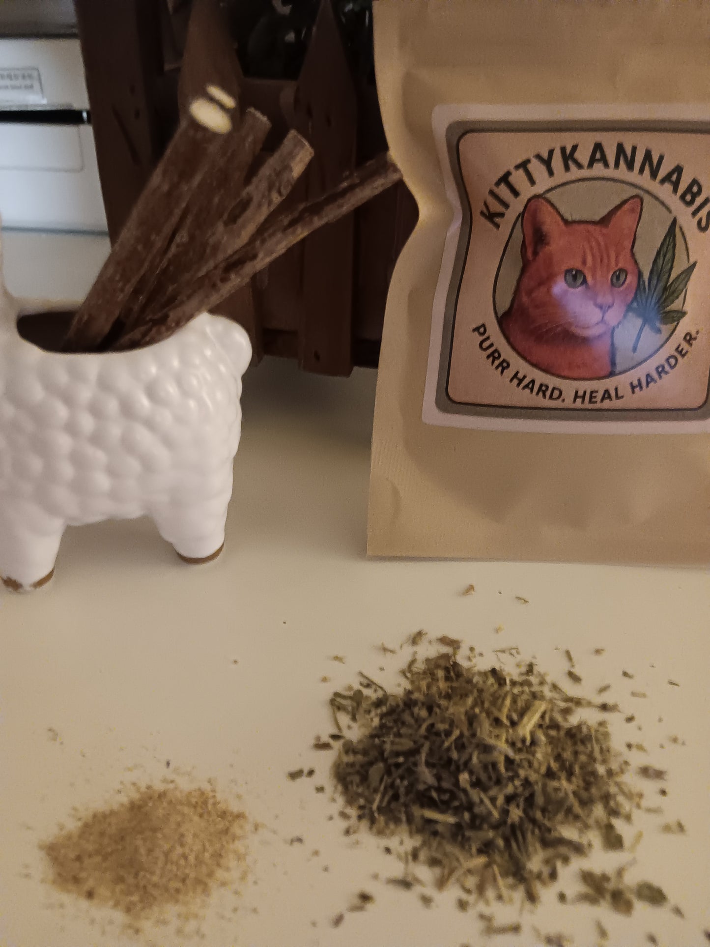 Spoiled Rotten Kitty Bundle