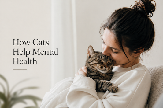 How cats help mental health, a woman holding cat