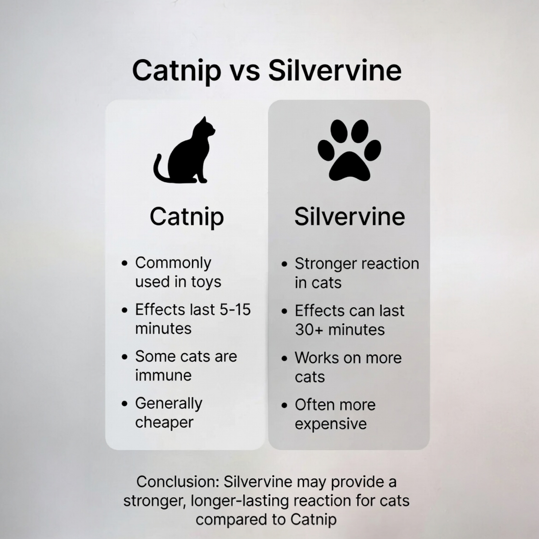 What is Catnip & Silvervine: How they are different & perfect for cat enrichment 