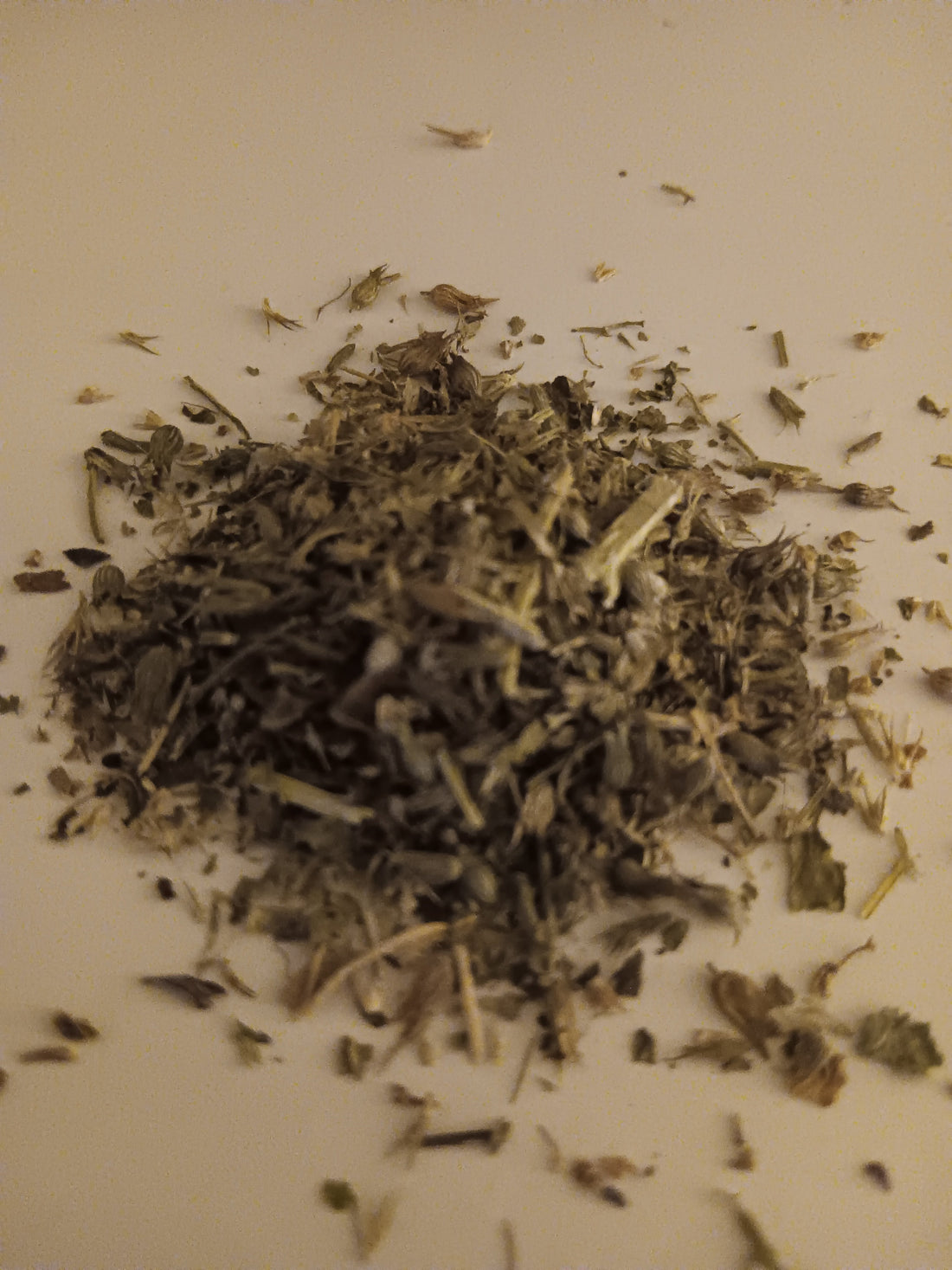 Close up of our organic catnip for cats