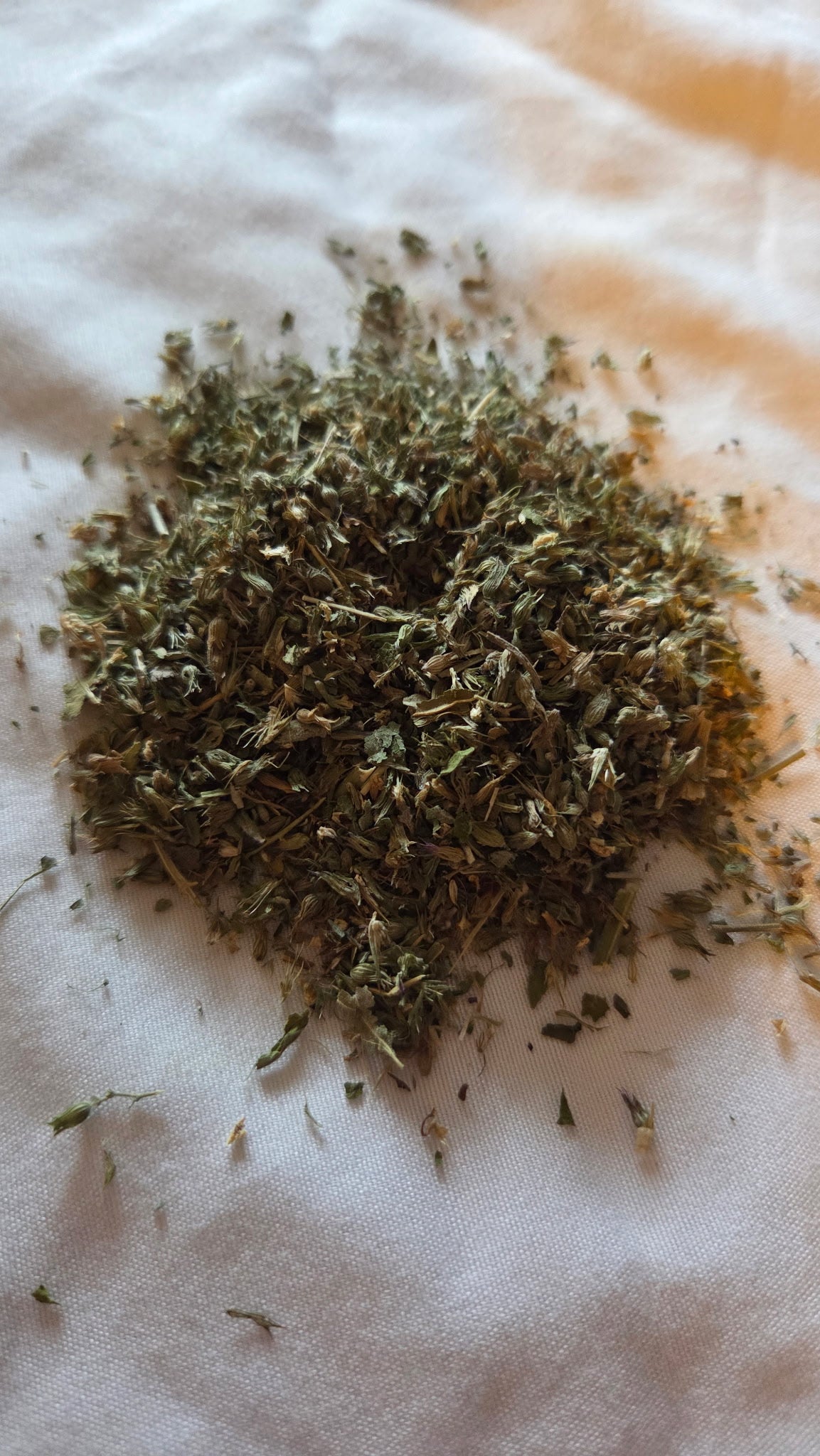 Image of loose catnip on white background 