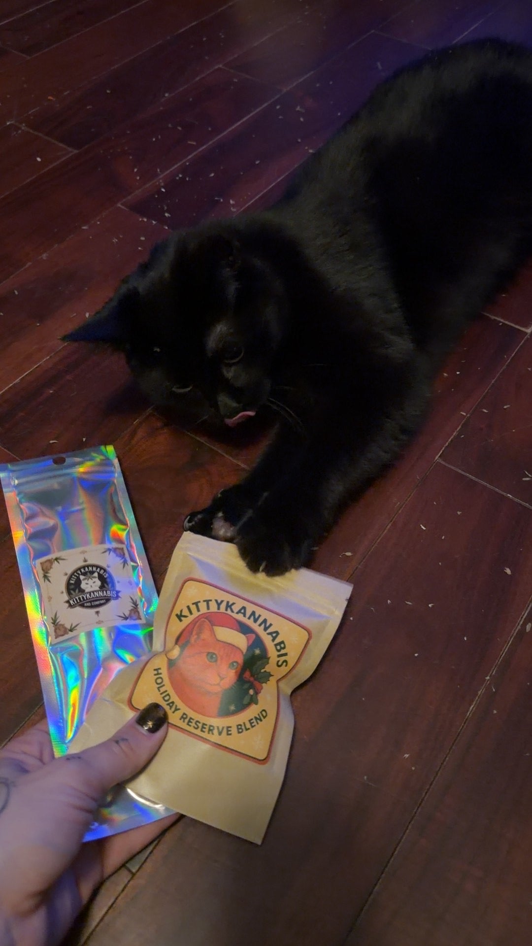 Black cat from maxs black cat coven sniffing at some KittyKannabis Organic Catnip for Cats 
