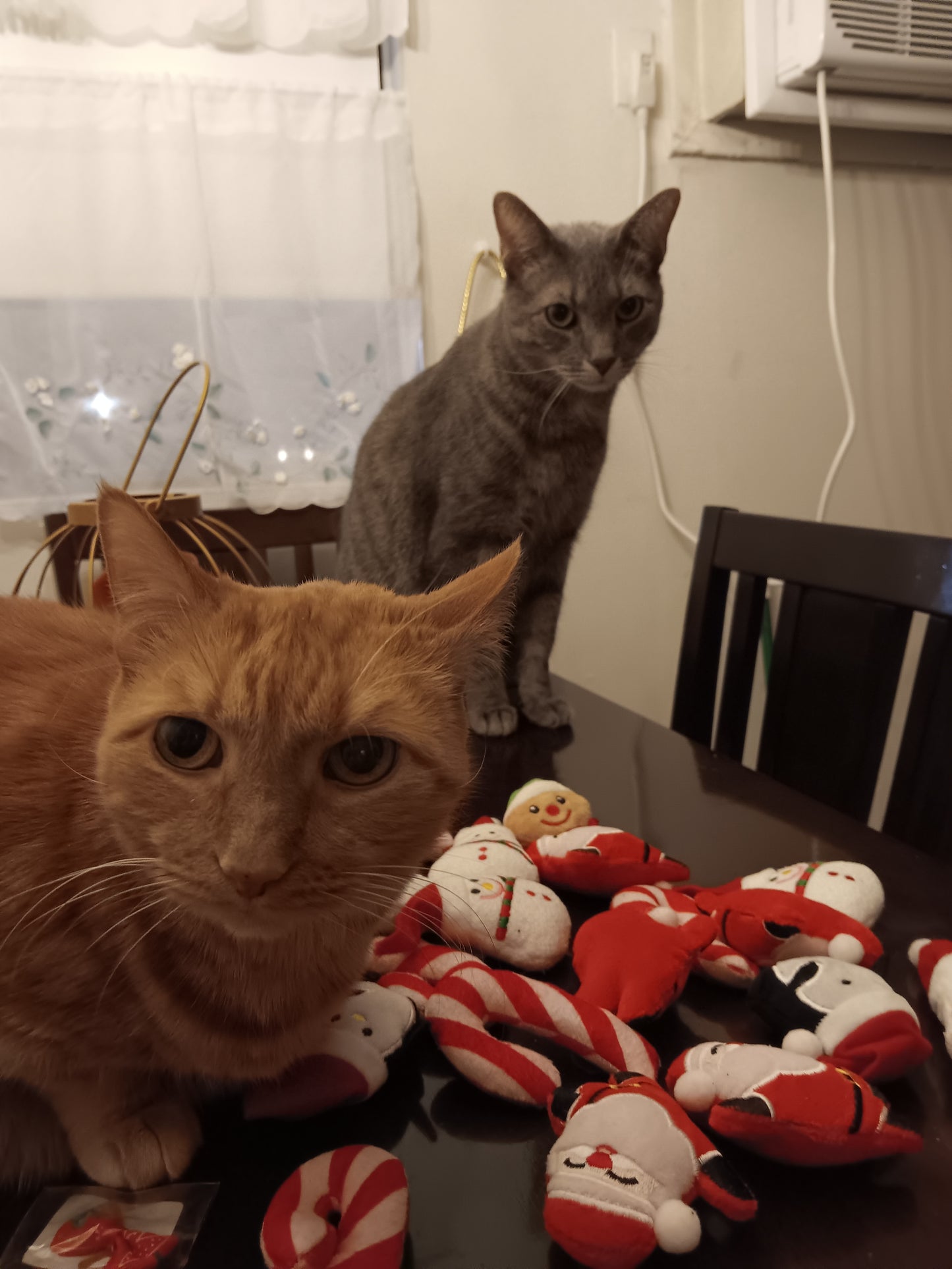 Holiday Catnip Toys - 5 pack (limited-edition)