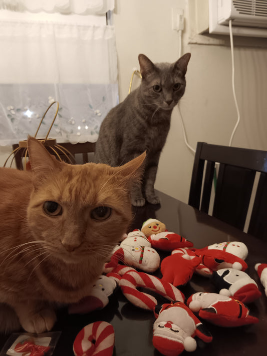 Holiday Catnip Toys - 5 pack (limited-edition)