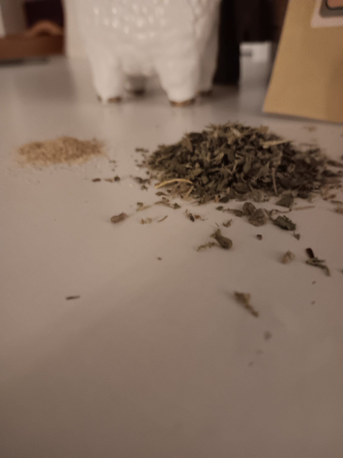 Winter Whiskers Sampler